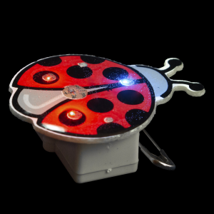 Flashing Lady Bug Blinky