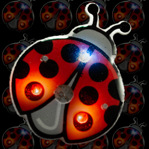 Flashing Lady Bug Blinky