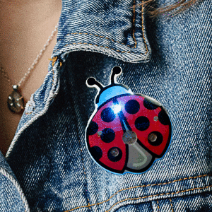 Flashing Lady Bug Blinky