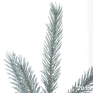 Vickerman 24"/30"/36" Deluxe Spruce Tops - Blue (1 Piece(s))