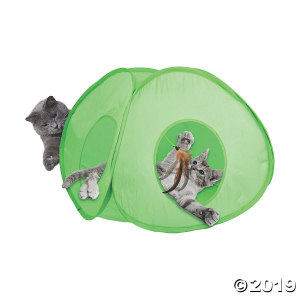 Electronic Spin Toy-Teaser Teepee (1 Piece(s))