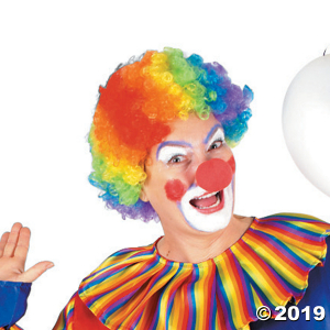 Adult's Rainbow Clown Wig