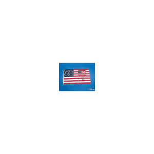 Small Cloth American Flags on Wooden Sticks - 6" x 4 (Per Dozen)