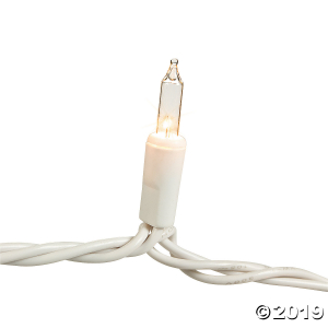 Clear White Wire String Lights (1 Set(s))