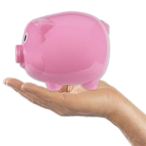 Pink Plastic Piggy Bank