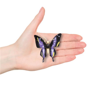 Assorted Butterflies