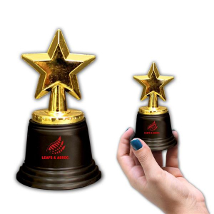 Gold Star Award