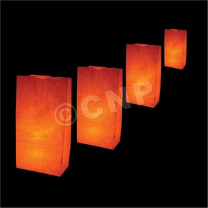 White Luminary Bags