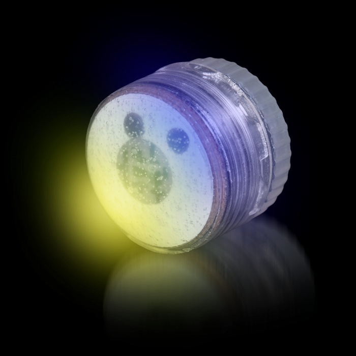LED Blinky Body Light - Blue/Yellow