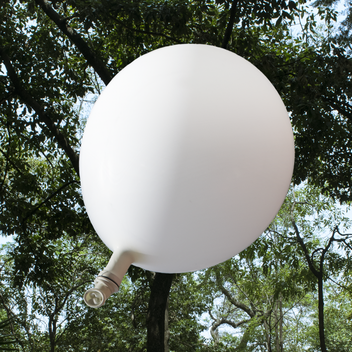 LED Light Up 14 Inch Blinky Balloons - White