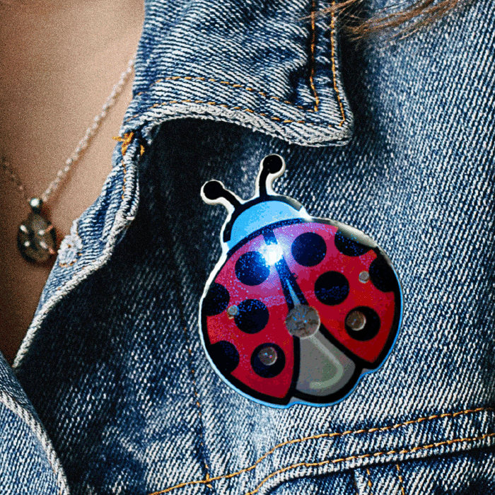 Flashing Lady Bug Blinky