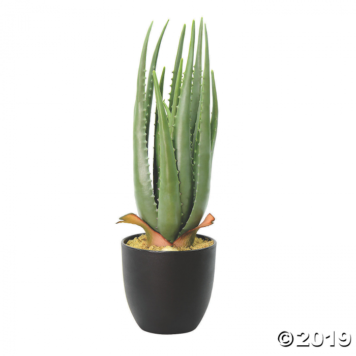 Vickerman 17.5" Artificial Green Potted Aloe Vera (1 Piece(s))
