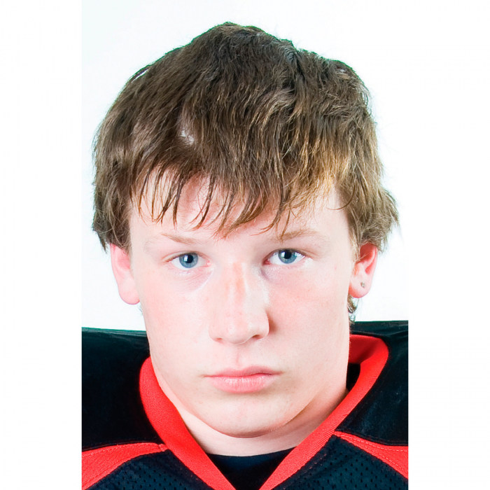 Custom Photo Hand Fan Faces (Per Dozen)