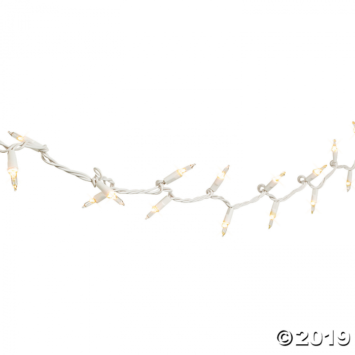 Clear White Wire String Lights (1 Set(s))