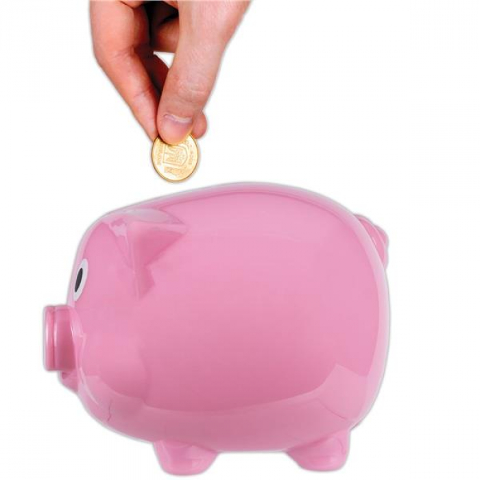 Pink Plastic Piggy Bank