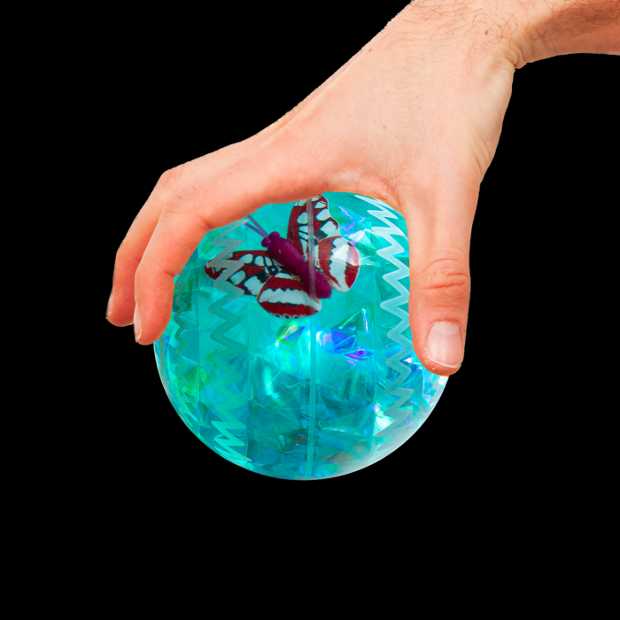 2.5" Light-Up Bounce Ball- Blue
