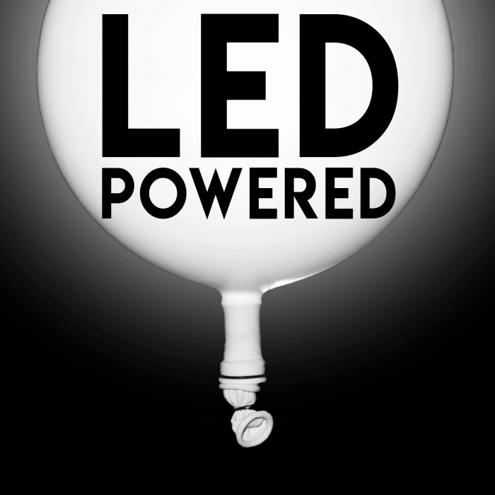 LED Light Up 14 Inch Blinky Balloons - White