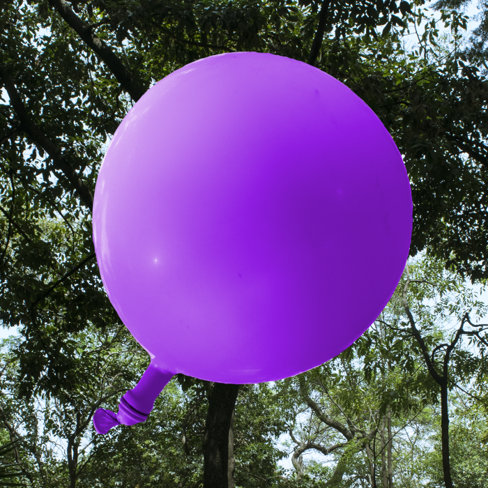 LED Light Up 14 Inch Blinky Balloons - White Purple